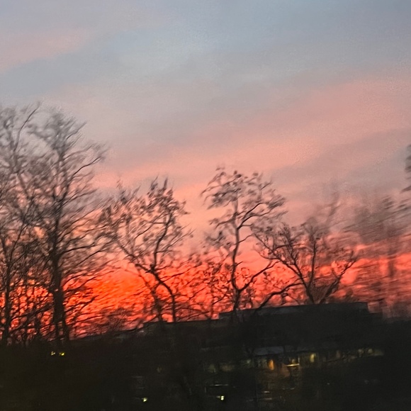 Meet your Posher, Gayathri - Picture 1 of 1